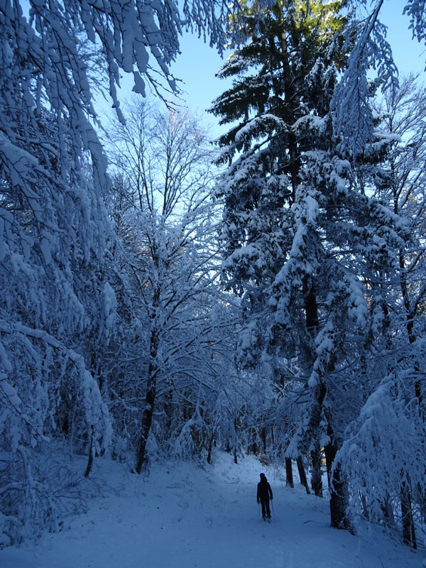 prime escursioni sulla neve....autunno  2019